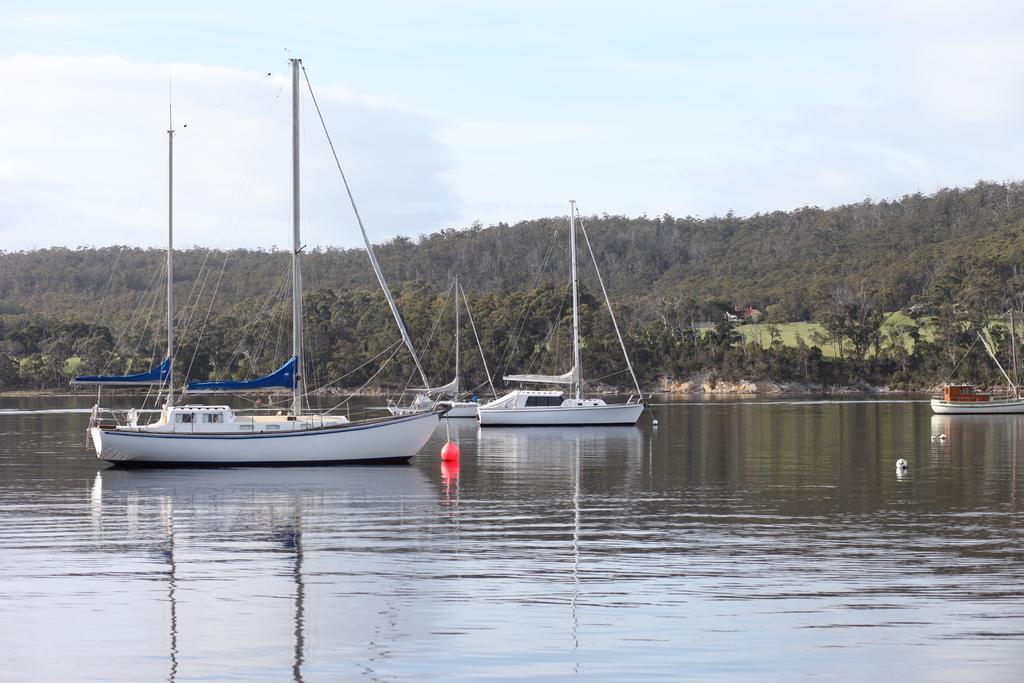 Gasthaus Tranquil Point Cygnet Exterior foto