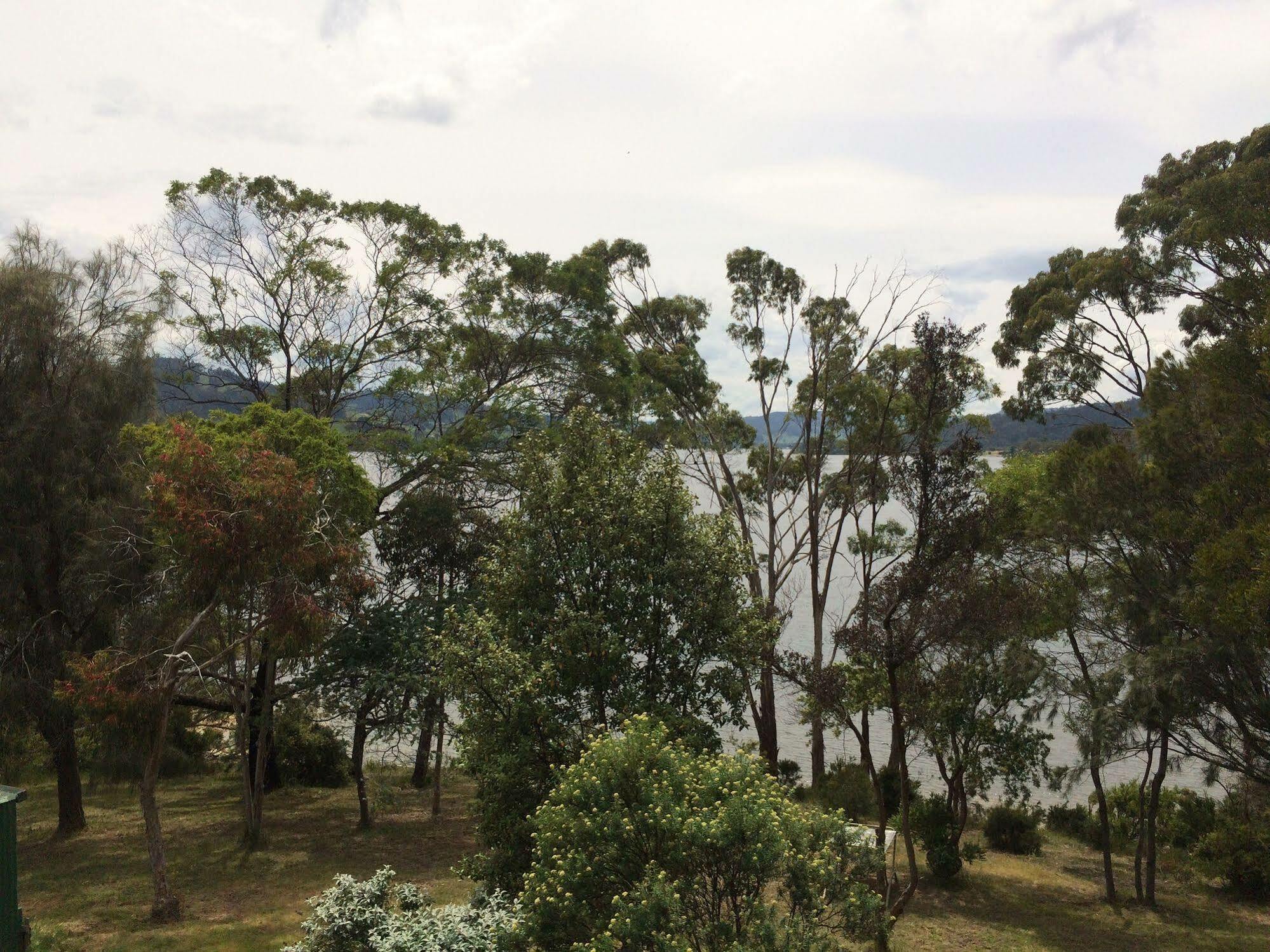 Gasthaus Tranquil Point Cygnet Exterior foto